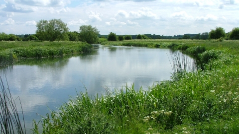 Chimney Meadows